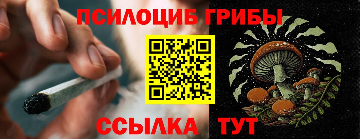 Воркута  Псилоцибиновые грибы ЛСД  Вход с VPN 